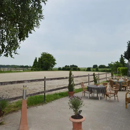 On A Farm Near Duesseldorf