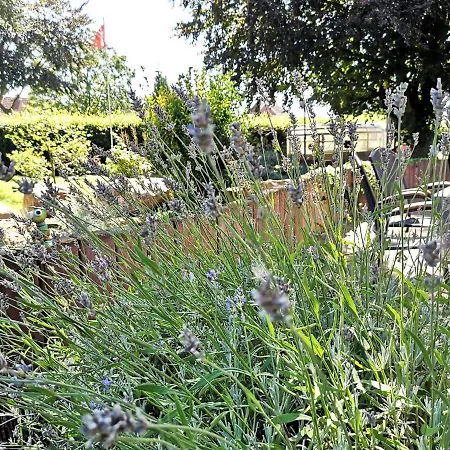 On A Farm Near Duesseldorf *