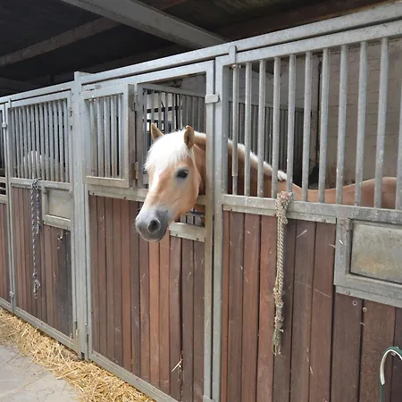 On A Farm Near Duesseldorf Daire *