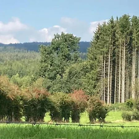On A Farm Near Duesseldorf * Jüchen