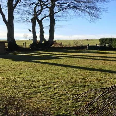 On A Farm Near Duesseldorf *